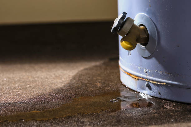 Best Ceiling water damage repair  in Homer, IL