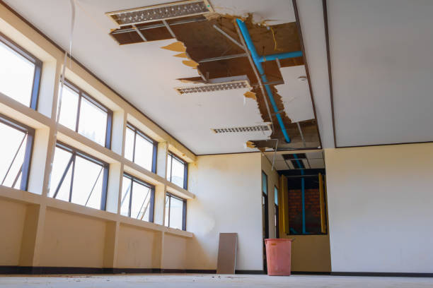 Best Sewage cleanup and water damage restoration  in Homer, IL