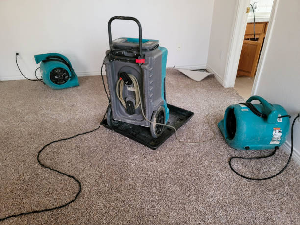 Best Water damage restoration near me  in Homer, IL