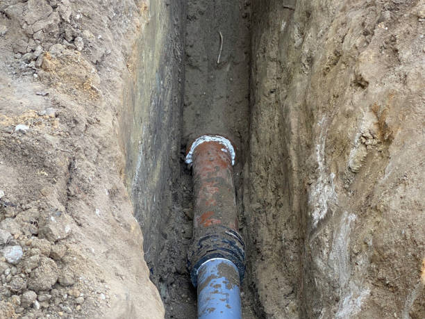Best Flood damage cleanup  in Homer, IL