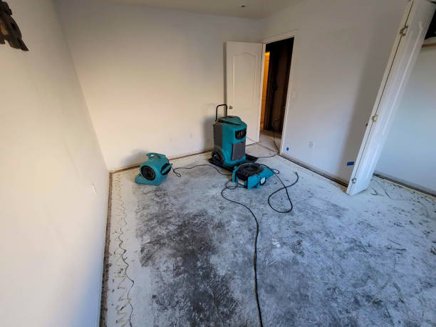  Homer, IL Water damage restoration Pros