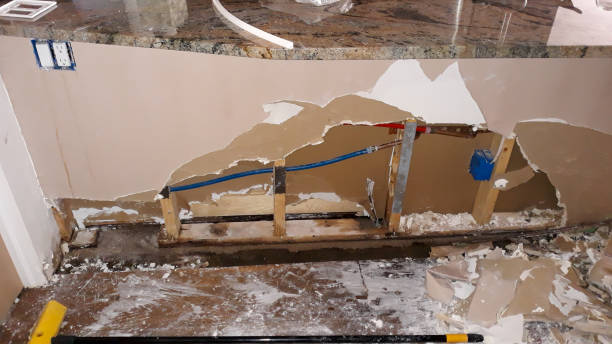 Best Water damage contractors near me  in Homer, IL