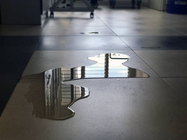 Best Water damage restoration near me  in Homer, IL