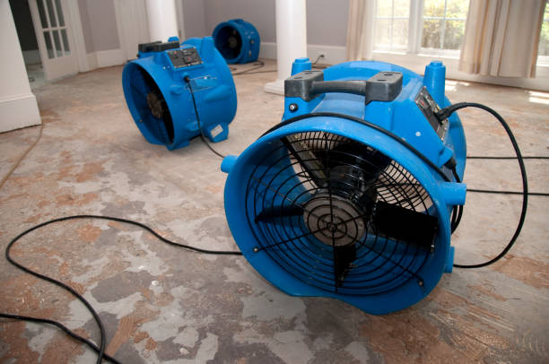 Best Fire Damage Restoration  in Homer, IL