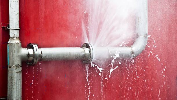 Best Flood damage cleanup  in Homer, IL