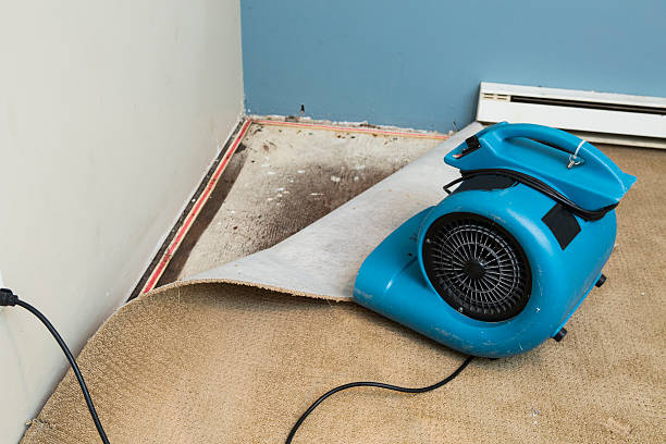 Sewage cleanup and water damage restoration in Homer, IL
