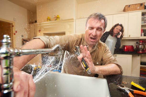 Best Residential water damage restoration  in Homer, IL